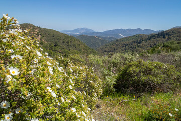 Landscape of Sierra de las Nieves 