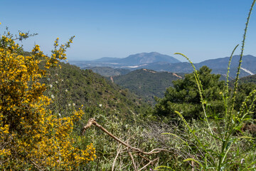 Landscape of Sierra de las Nieves 