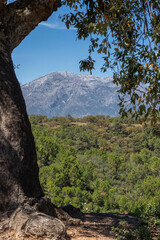 Landscape of Sierra de las Nieves 
