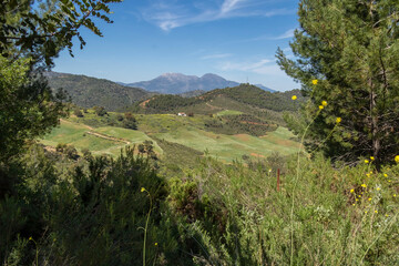 Fototapeta na wymiar Landscape of Sierra de las Nieves 