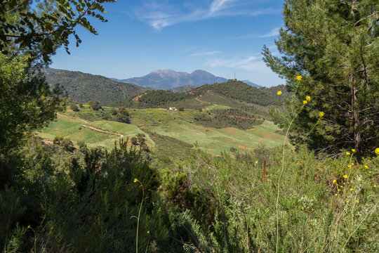 Landscape of Sierra de las Nieves 