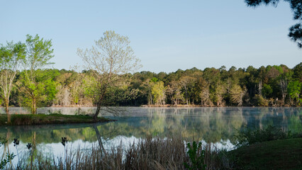 Fototapeta na wymiar Lake scene with jetty, trees in springtime, still waters