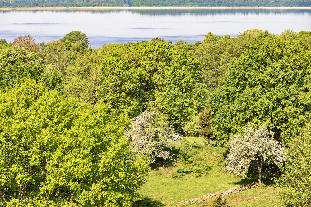 Sticker Lush and blooming trees by a lake on a sunny summer day