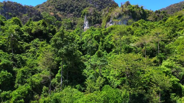 Untouched natureInaccessible Terra nature jungle mountains. Stunning aerial top view flight Stunning aerial top view flight 
4k