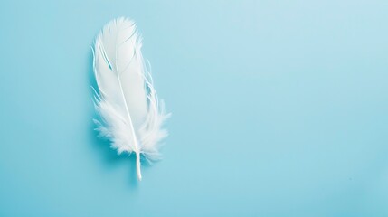 Obraz premium White Feather