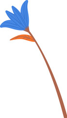 Blue Flower wtih Orange Stem