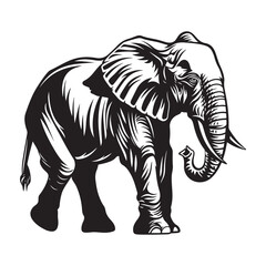 Vector illustration of elephant isolated on white background