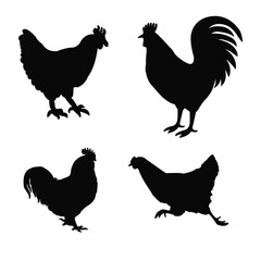 Set cock, cockerel, rooster, chicken, hen, chick, position standing, poultry silhouettes hand drawn, isolated vector