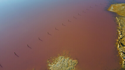 pink lagoon at Torrevieja