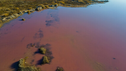 pink lagoon at Torrevieja