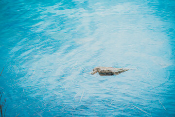 Fototapeta premium Landscape of Green Lake State Park of New York