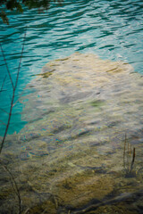 Landscape of Green Lake State Park of New York