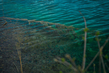 Landscape of Green Lake State Park of New York