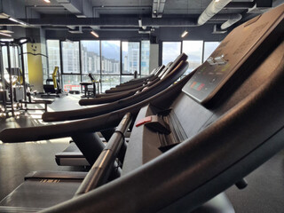 Row of Treadmills in a Gym