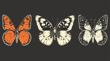 Butterflies on a black background. Flat vector isolat - obrazy, fototapety, plakaty