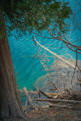 Landscape of Green Lake State Park of New York