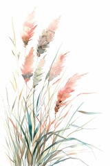 The delicate and serene watercolor paintings capture the ethereal beauty of the tall and narrow pampas grass that sways gracefully