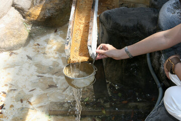 熱川温泉のお湯かけ弁財天で硬貨を洗う女性の手