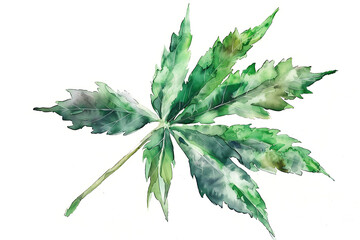 watercolor cannabis isolated on white background - obrazy, fototapety, plakaty