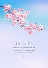 Sakura poster, card, cover, flyer or web banner design template. Vector illustration of realistic blossoming sakura flowers on blue sky background. Vector illustration