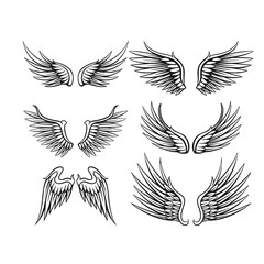 Illustration of wings collection set - obrazy, fototapety, plakaty
