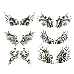 Illustration of wings collection set - obrazy, fototapety, plakaty