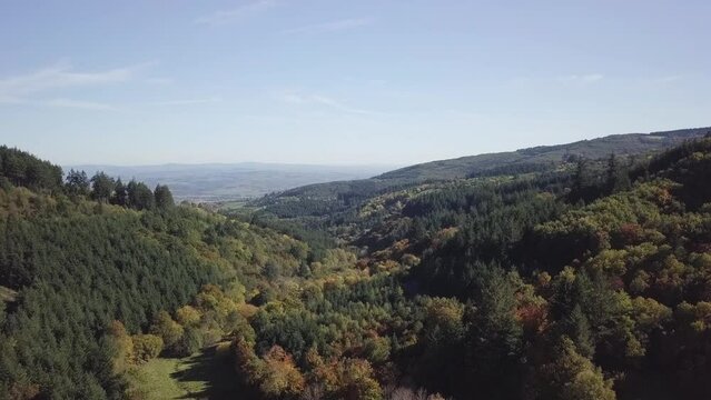 Aerial footage of a scenic thick vibrant mountain woods on a sunny day, in eastern France