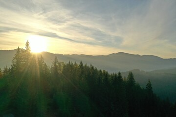 Aerial view of beautiful mountain landscape with green trees at sunrise