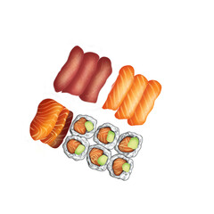 Sushi food illustration 