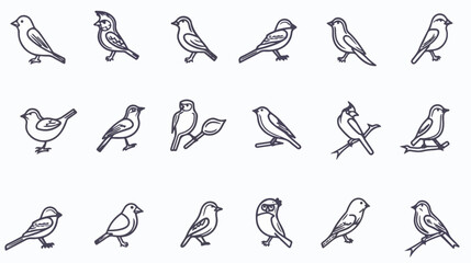 Birds icons thin line art set. Black vector symbols is