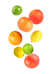 Many different fresh citrus fruits falling on white background
