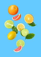 Many different fresh citrus fruits in air on light blue background
