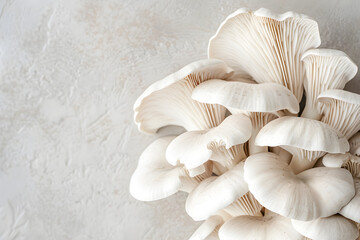 Fototapeta na wymiar The Health Benefits and Nutritional Value of Fresh Oyster Mushrooms in a Comprehensive Visual Guide