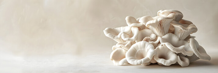 The Health Benefits and Nutritional Value of Fresh Oyster Mushrooms in a Comprehensive Visual Guide - obrazy, fototapety, plakaty