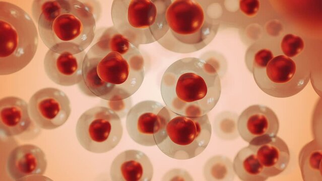 Melanoma cancer cells medical animation