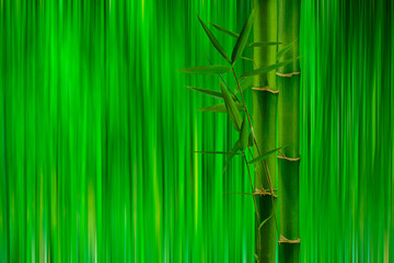 Abstrakte Bambusstäbe, hergestellt aus Kamera-Bewegung