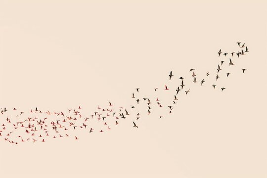 Celebrate International Jazz Day with vibrant performances and cultural diversity. - Powered by Adobe