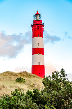 Germany, Schleswig-Holstein, Amrum, Amrum Lighthouse in summer