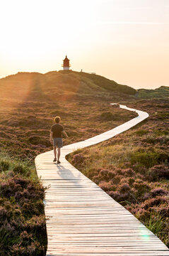 Germany, Schleswig-Holstein, Amrum, Man walking along boardwalk stretching through heather moor toward lighthouse standing in background