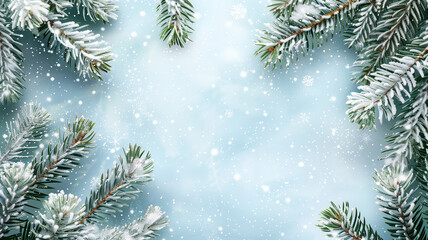 Fototapeta na wymiar Charming winter card background with fluffy snowflakes and green pine branches, ideal for holiday greetings