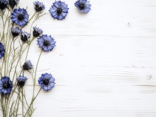 Beautiful black cornflower flowers on a white wooden background, in a top view with copy space for text