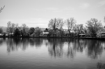 reflection of trees in the river