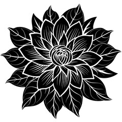    Flower vector illustration.
