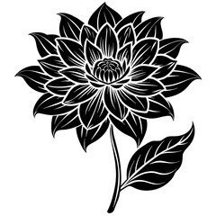    Flower vector illustration.
