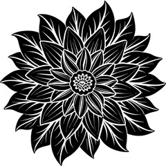    Flower vector illustration.
