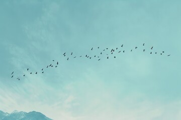 Celebrate iWorld Migratory Bird Day with vibrant images capturing avian beauty in flight and habitat.