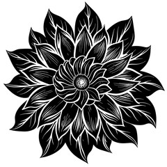    Flower vector illustration.
