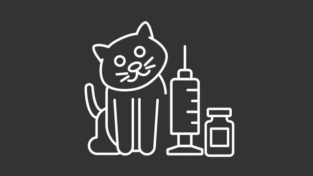 Cat vaccination white line animation. Animated kitten and medical syringe icon. Vet clinic service. Pet healthcare. Isolated illustration on dark background. Transition alpha video. Motion graphic