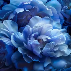 Rolgordijnen blue hydrangea flower © hallowen