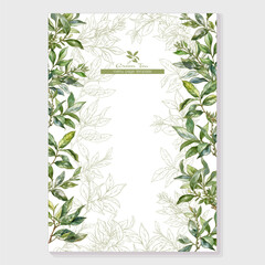 Green tea branch with leaves Border, frame, template for menu page, product label, cosmetic packaging. Vector illustration. In botanical style - 785085203